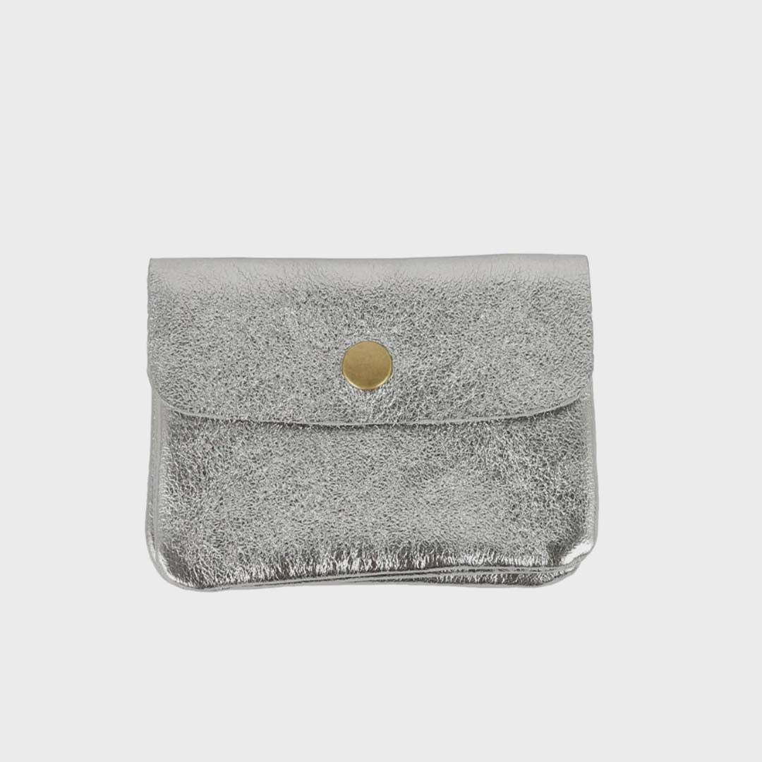 COIN PURSE | METALLIC GREY