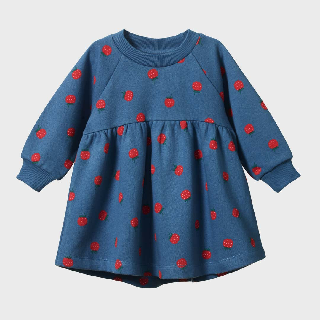 INES DRESS | RASPBERRY BLUE PRINT