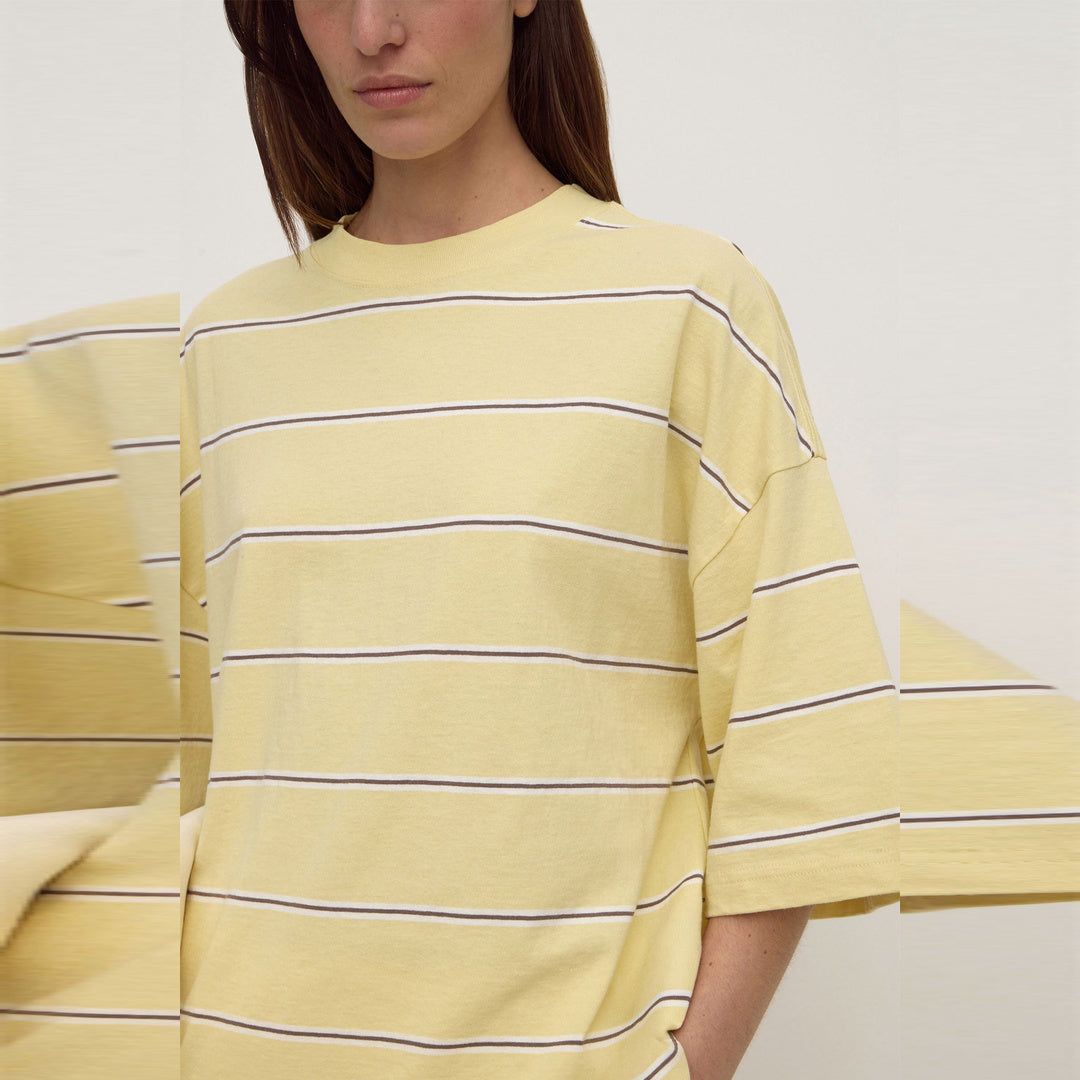 Assembly Label Nora Cotton Stripe Oversized Tee in Rind Stripe
