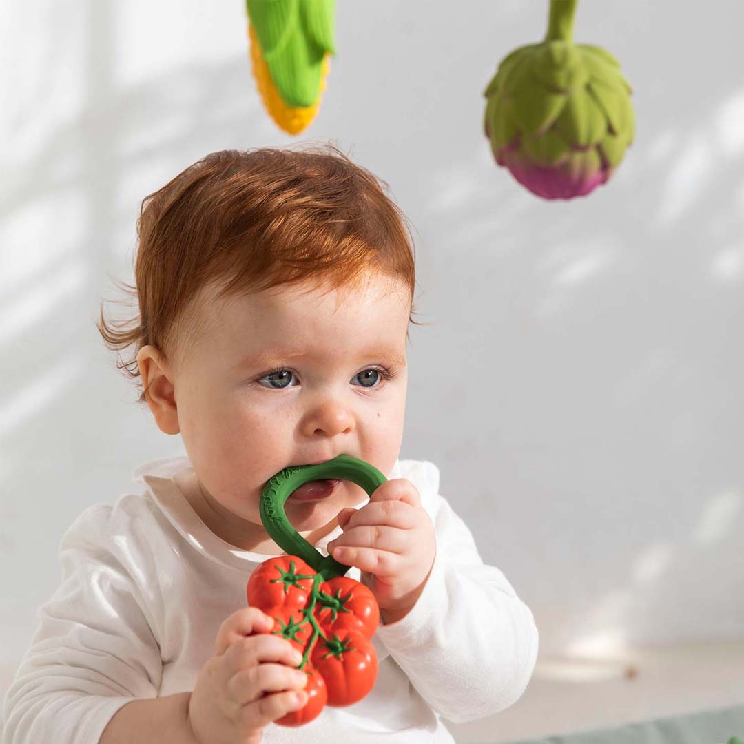 Tomato Rattle Toy