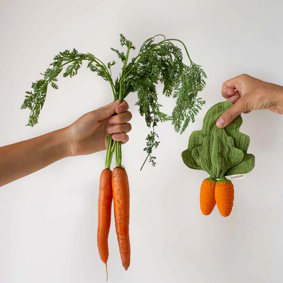 Cathy the Carrot Mini Doudou-Teether