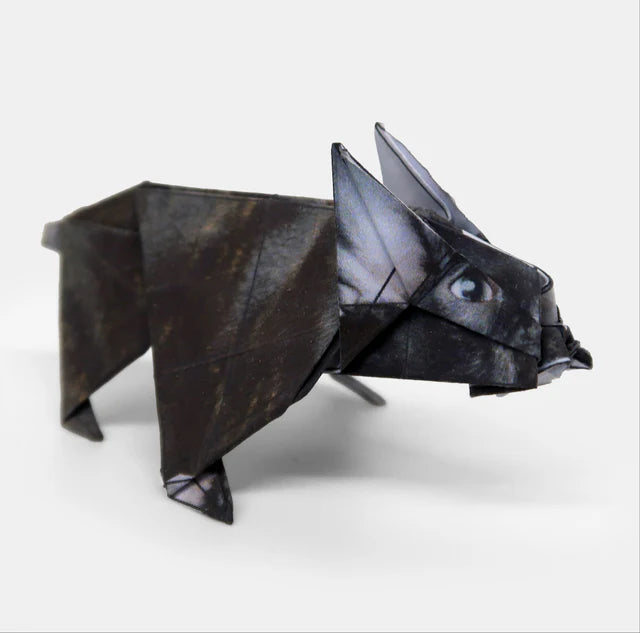 ORIGAMI DOGS | 50 CANINE COMPANIONS