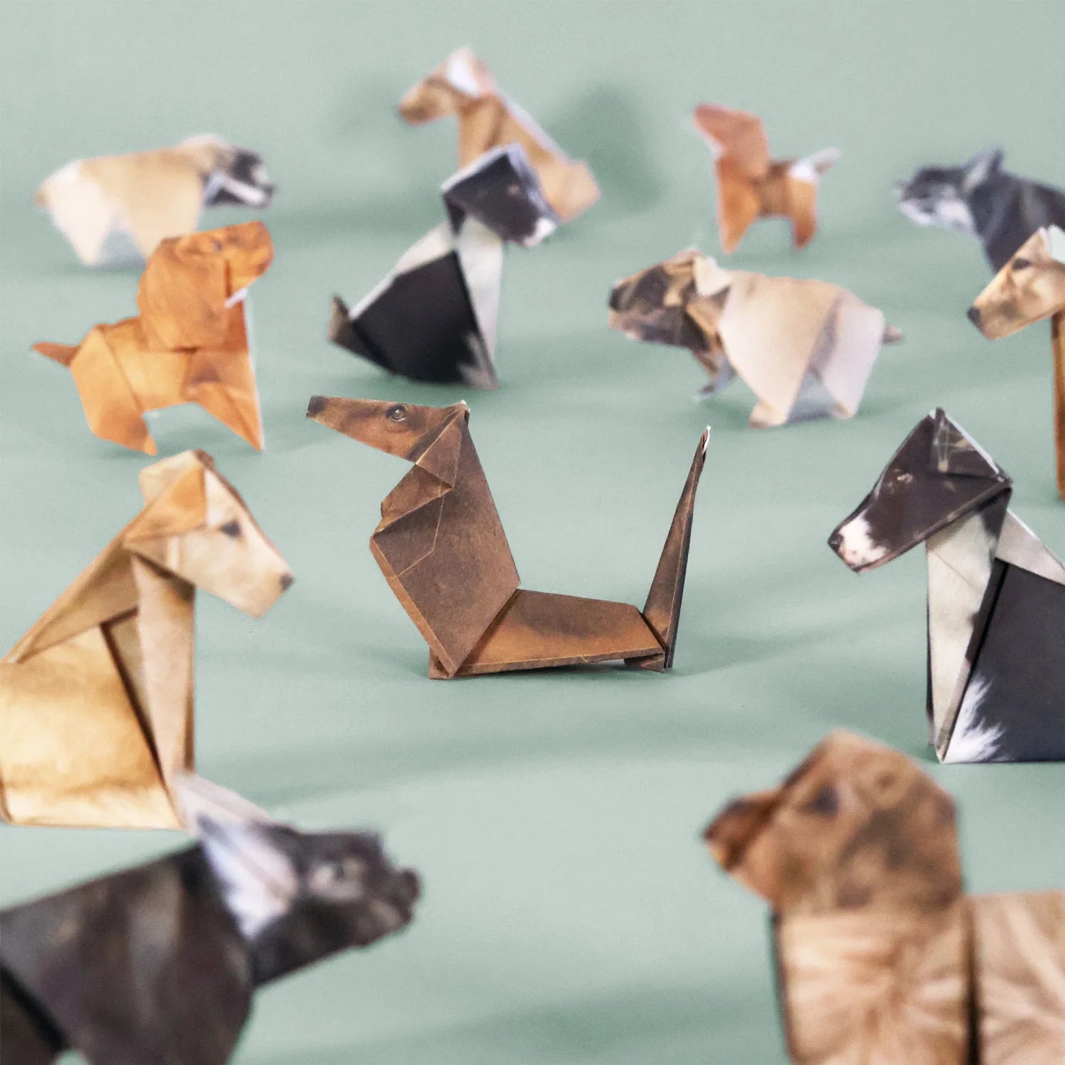 ORIGAMI DOGS | 50 CANINE COMPANIONS