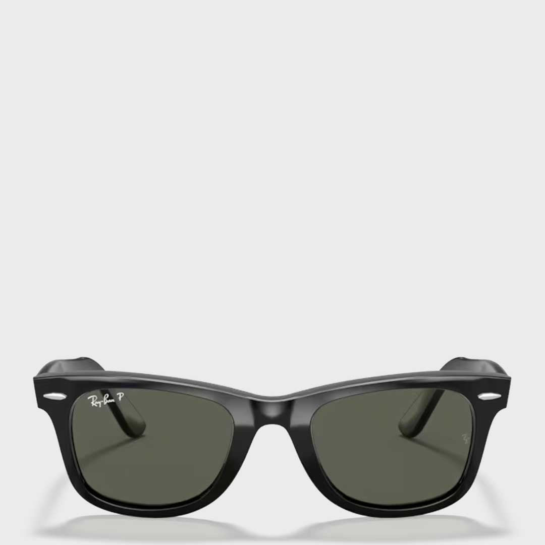 Wayfarer | Black Polar