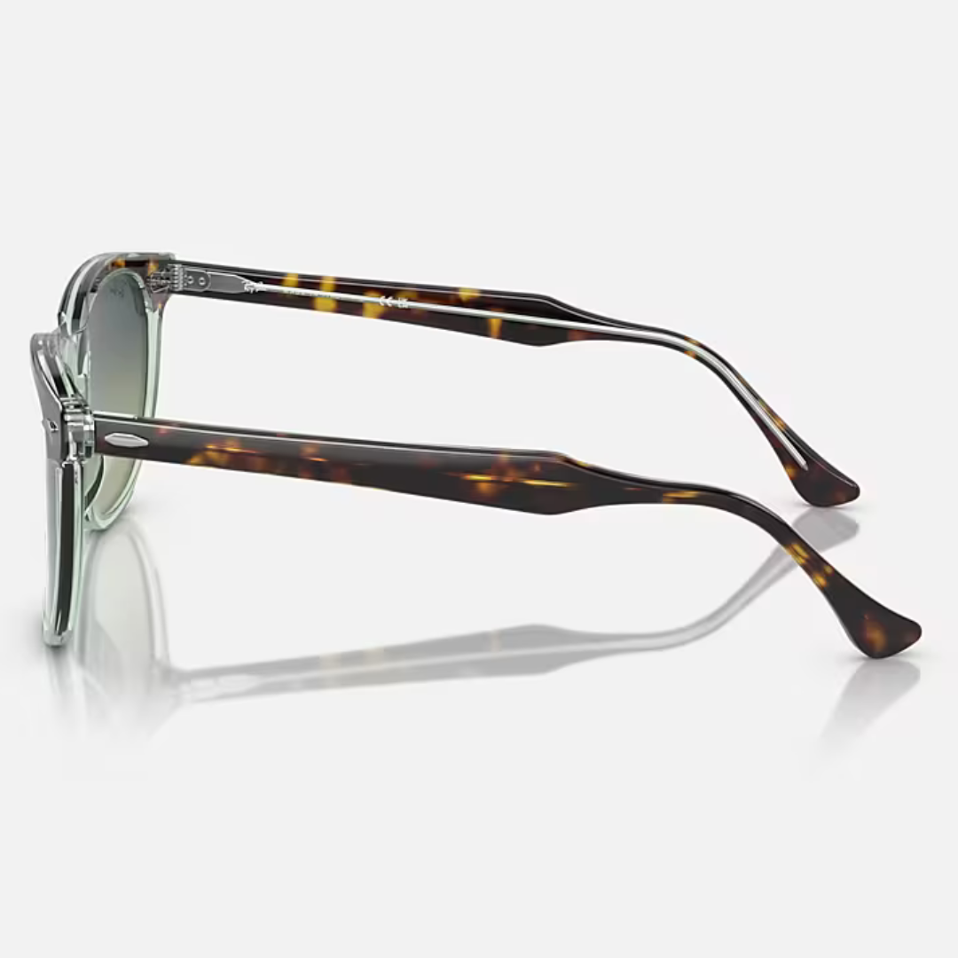 RB2398 EAGLE EYE | HAVANA on TRANSPARENT GREEN