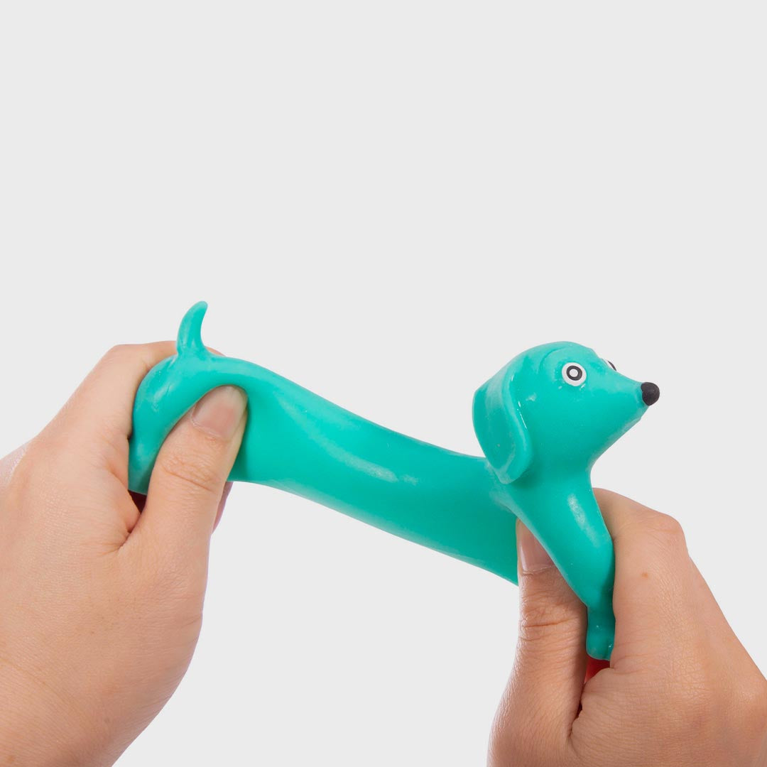 Stretchy Dachshund | Neon