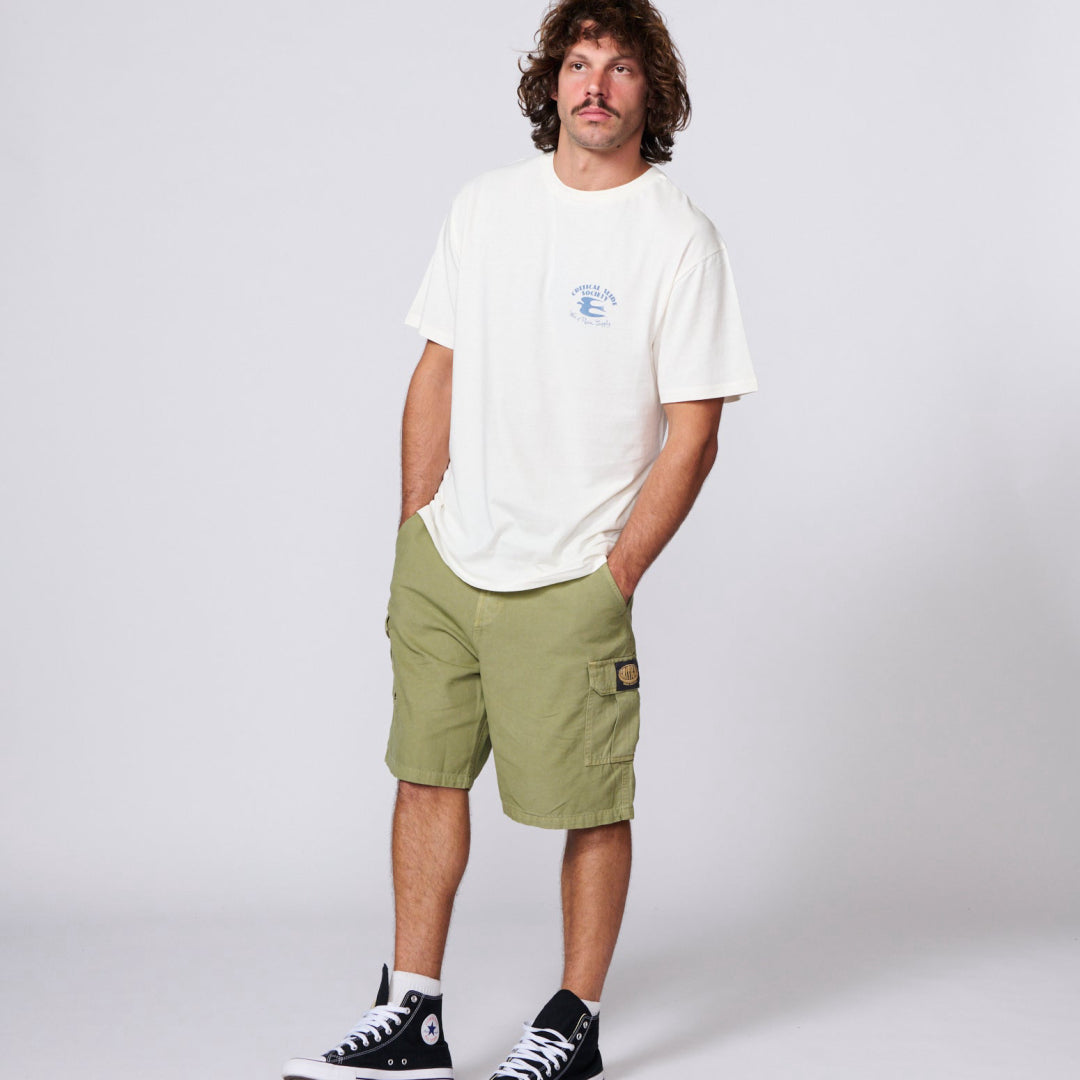 TCSS Little Wing Tee in Vintage White