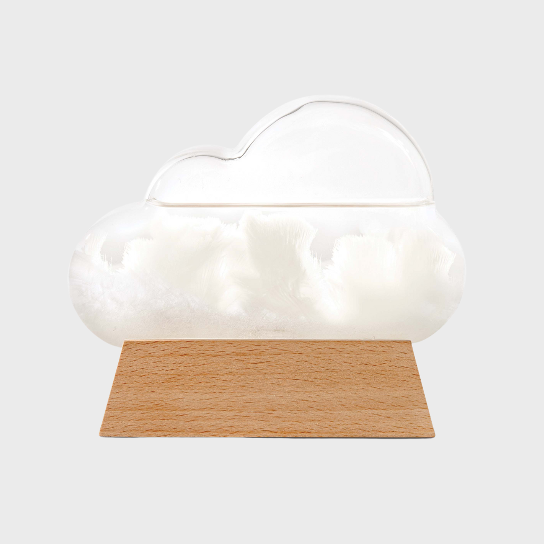 CLOUD WEATHER STATION