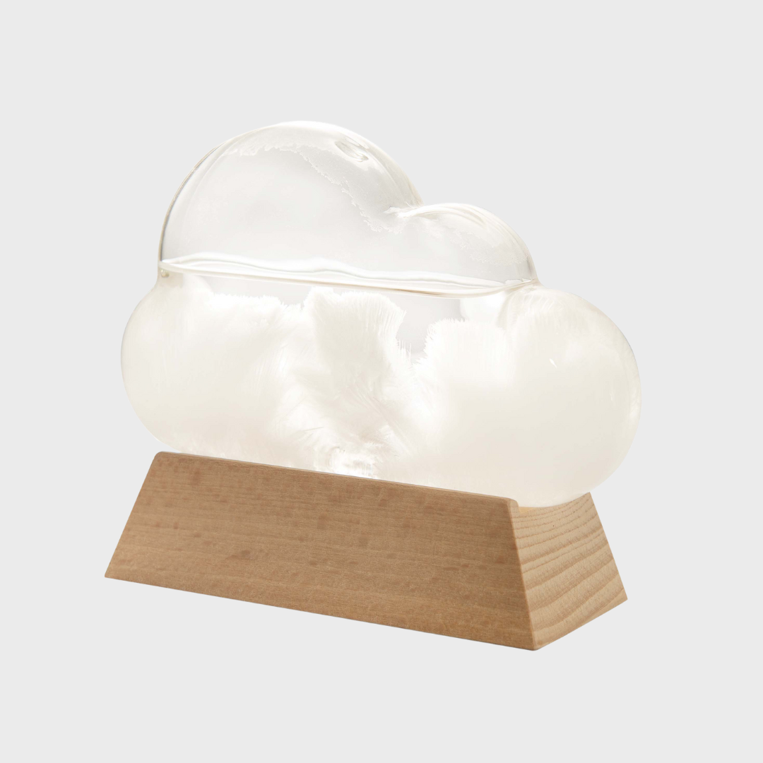 CLOUD WEATHER STATION