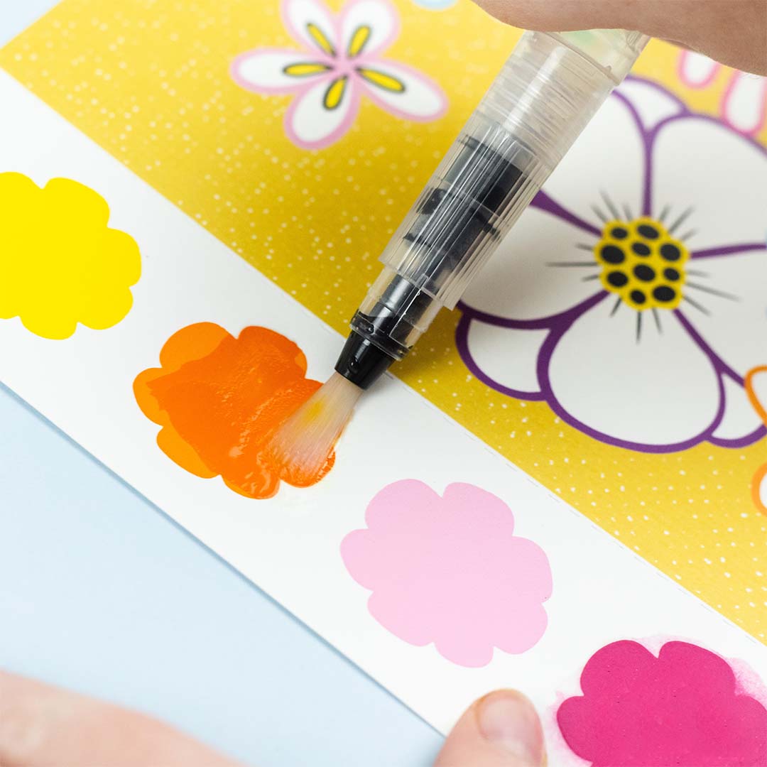 Paint a Picture Set | Butterflies & Flowers