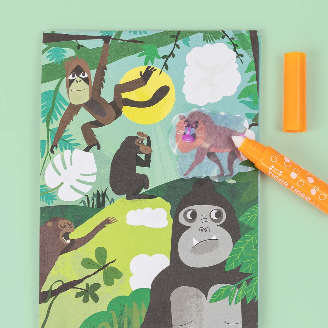 Colour Surprise | Zoo Adventures
