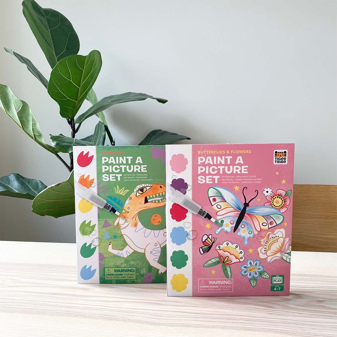 Paint a Picture Set | Butterflies & Flowers