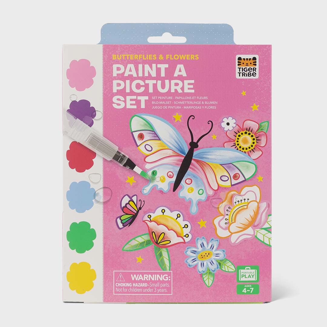 Paint a Picture Set | Butterflies & Flowers