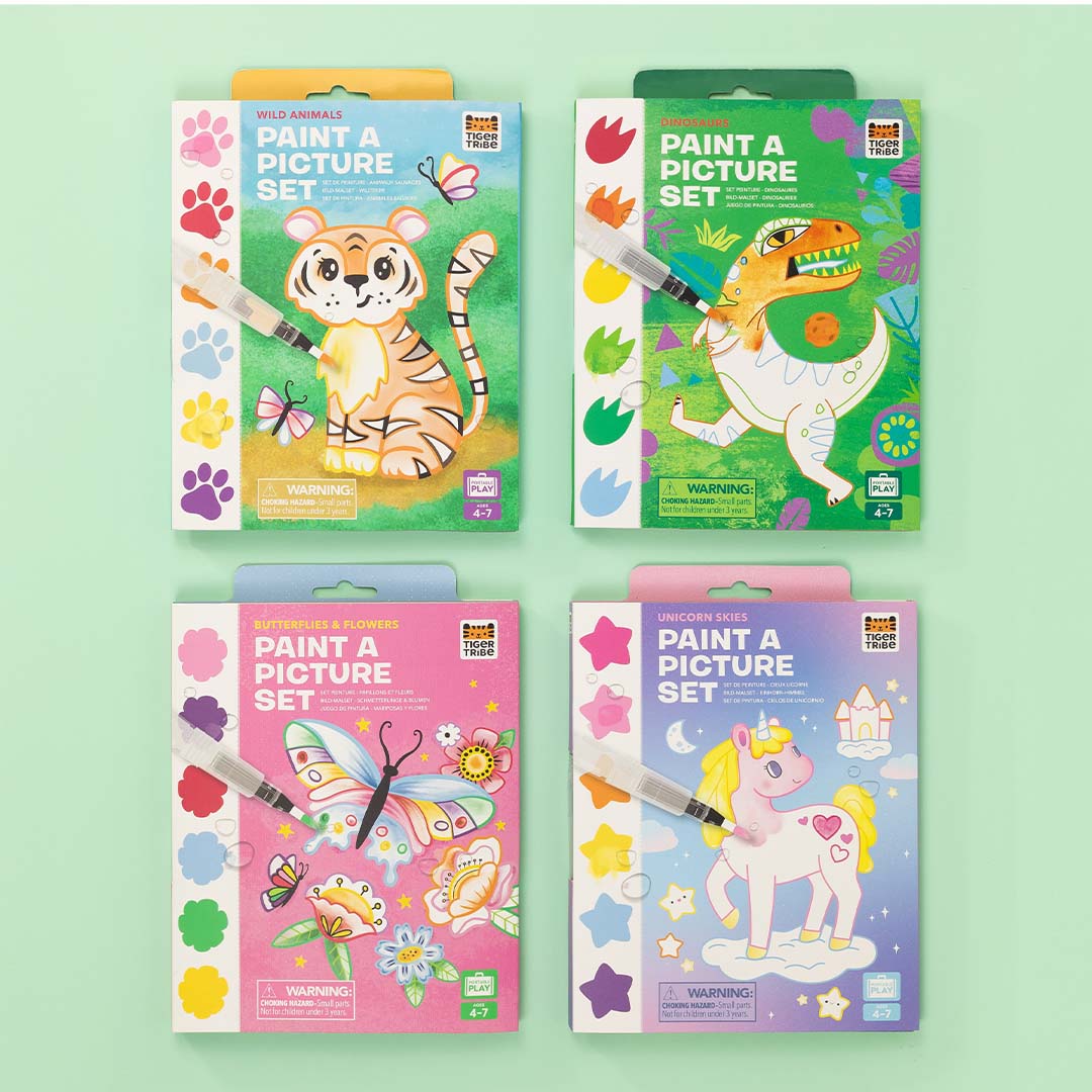 Paint a Picture Set | Butterflies & Flowers
