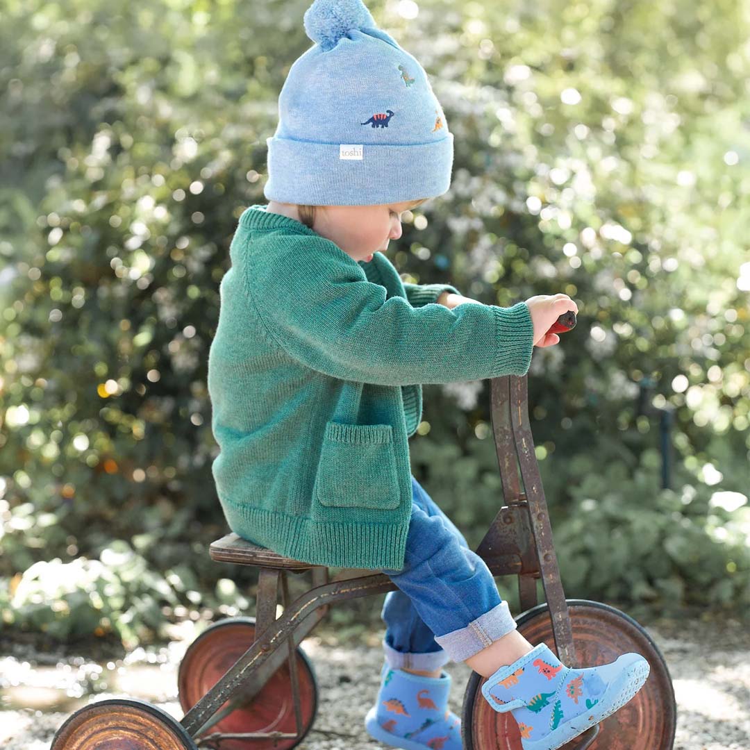 Organic Beanie | Mystical Dino