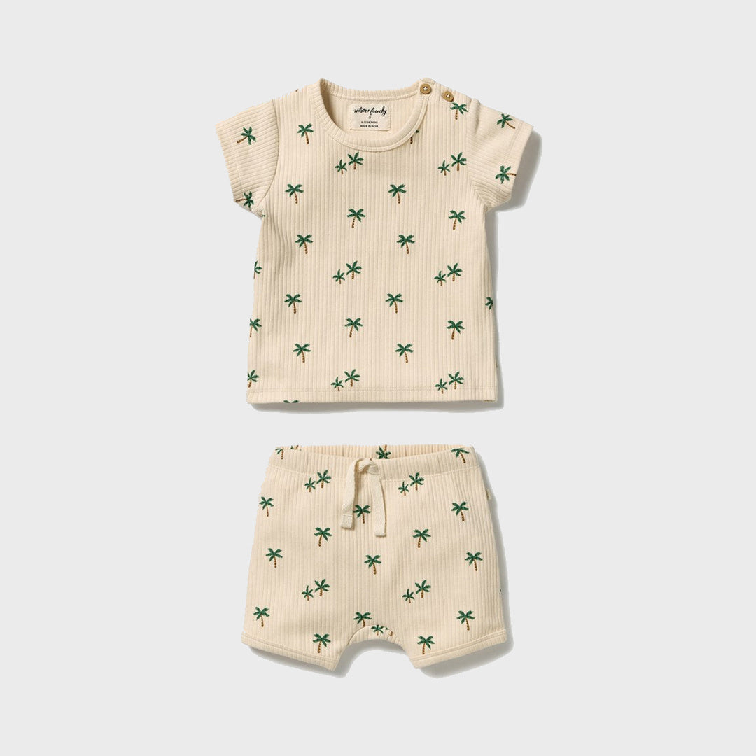 Tiny Palm Organic Set product view