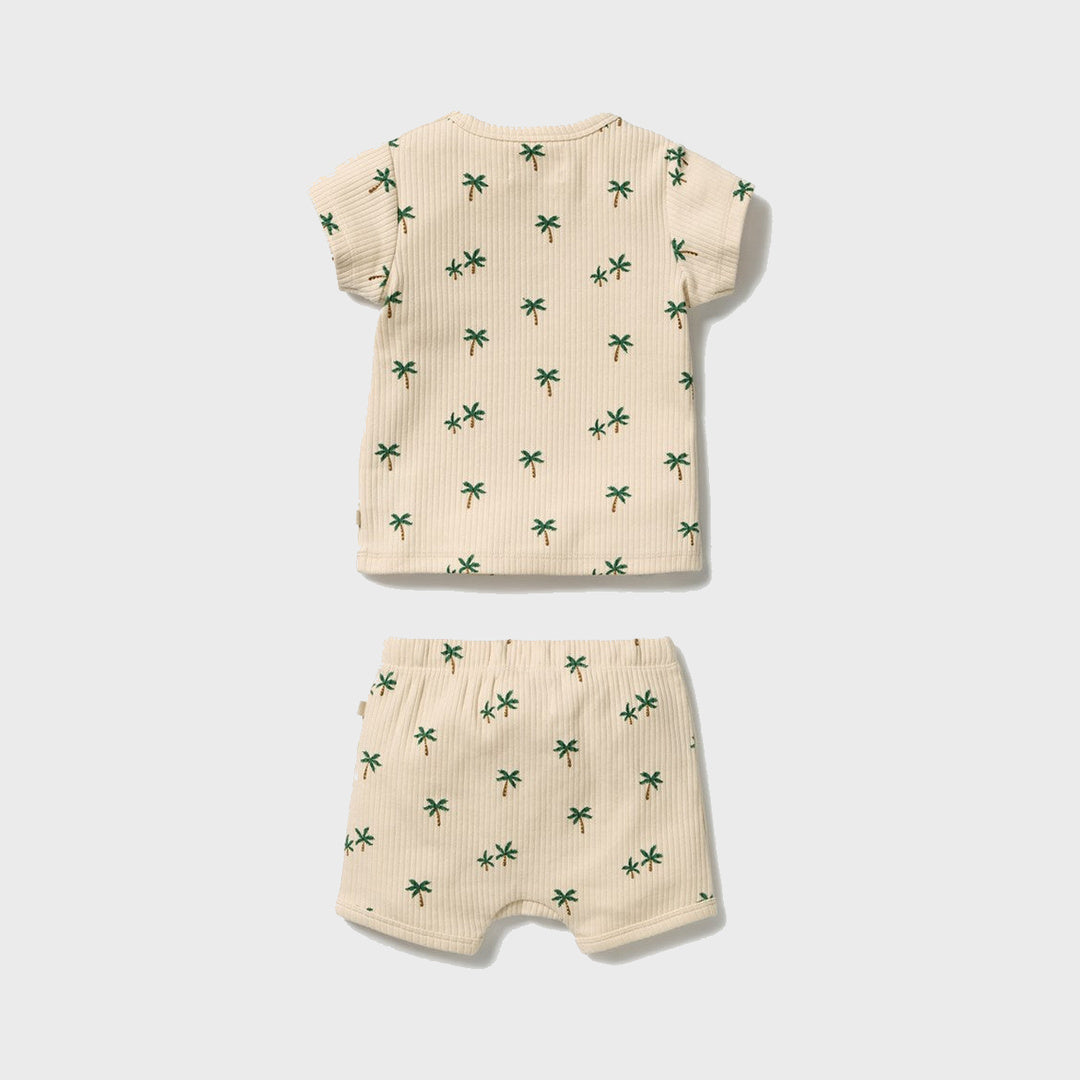 Alternate view of Tiny Palm Organic Set