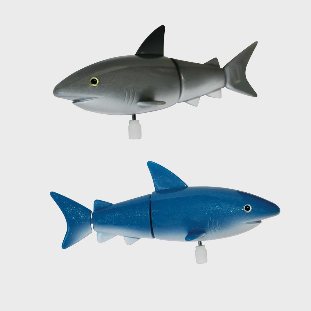 Wind Up Toy | Aussie Sharks