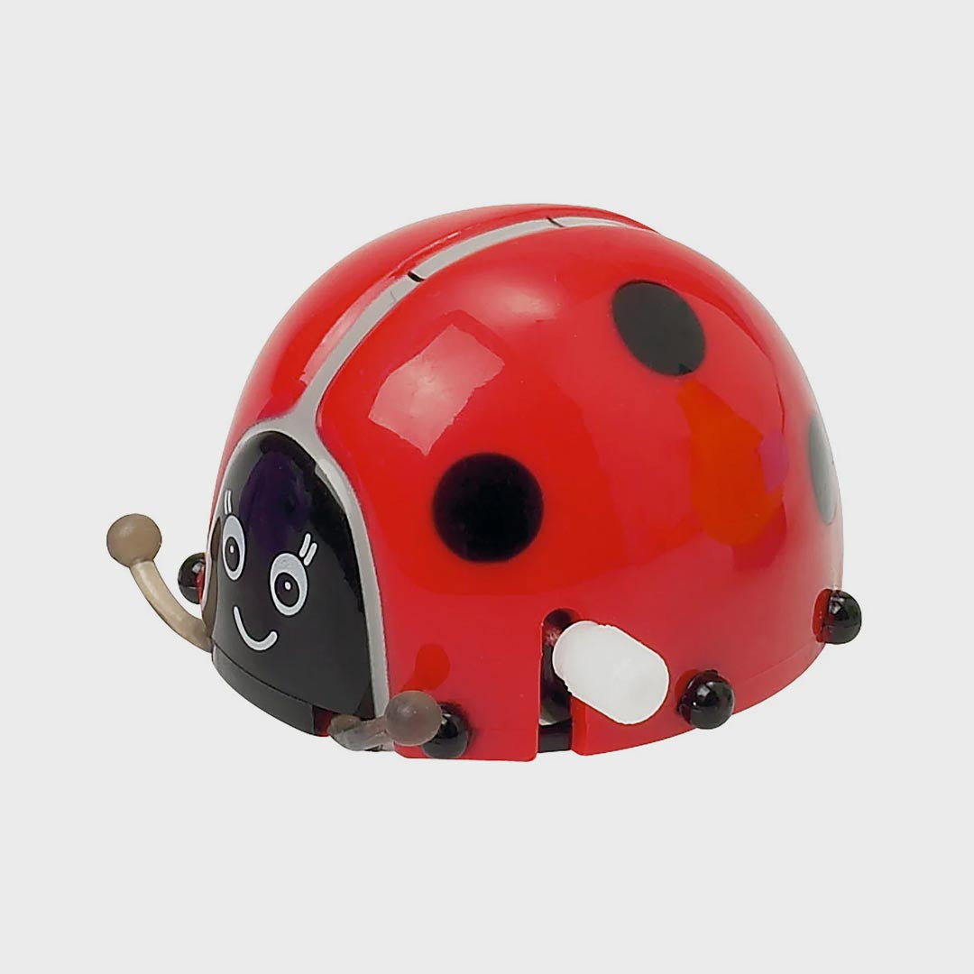 Wind Up Toy | Flippin' Lady Bug