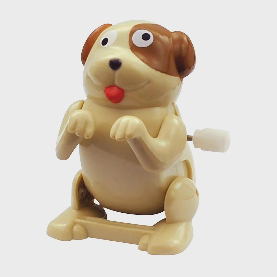 Wind Up Toy | Flippin Pets