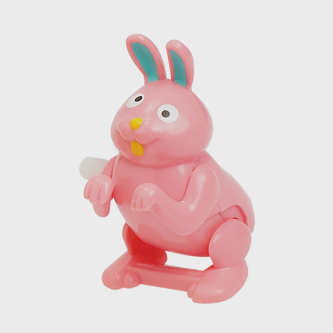 Wind Up Toy | Flippin Pets