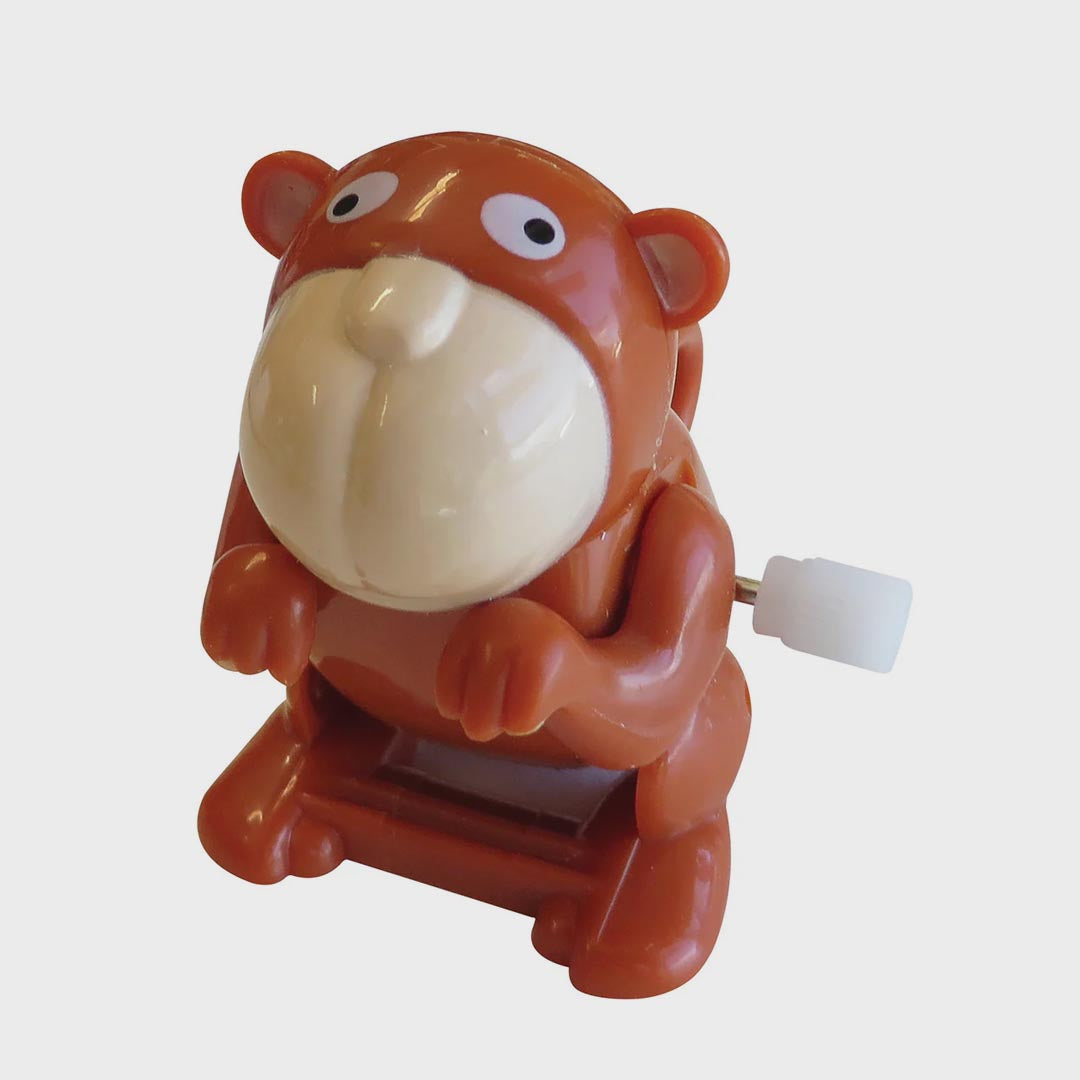 Wind Up Toy | Flippin Pets