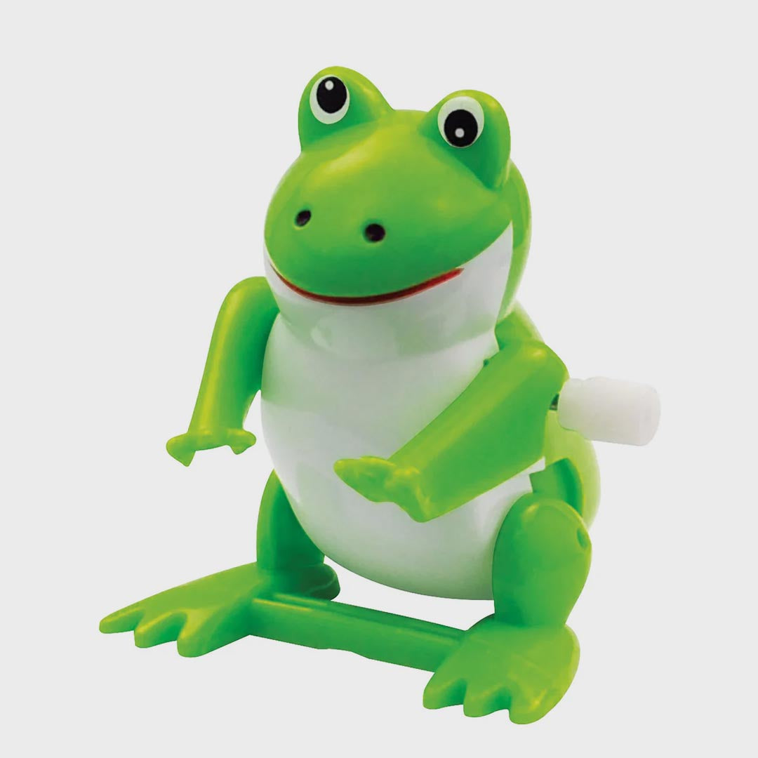 Wind Up Toy | Flippin Pets