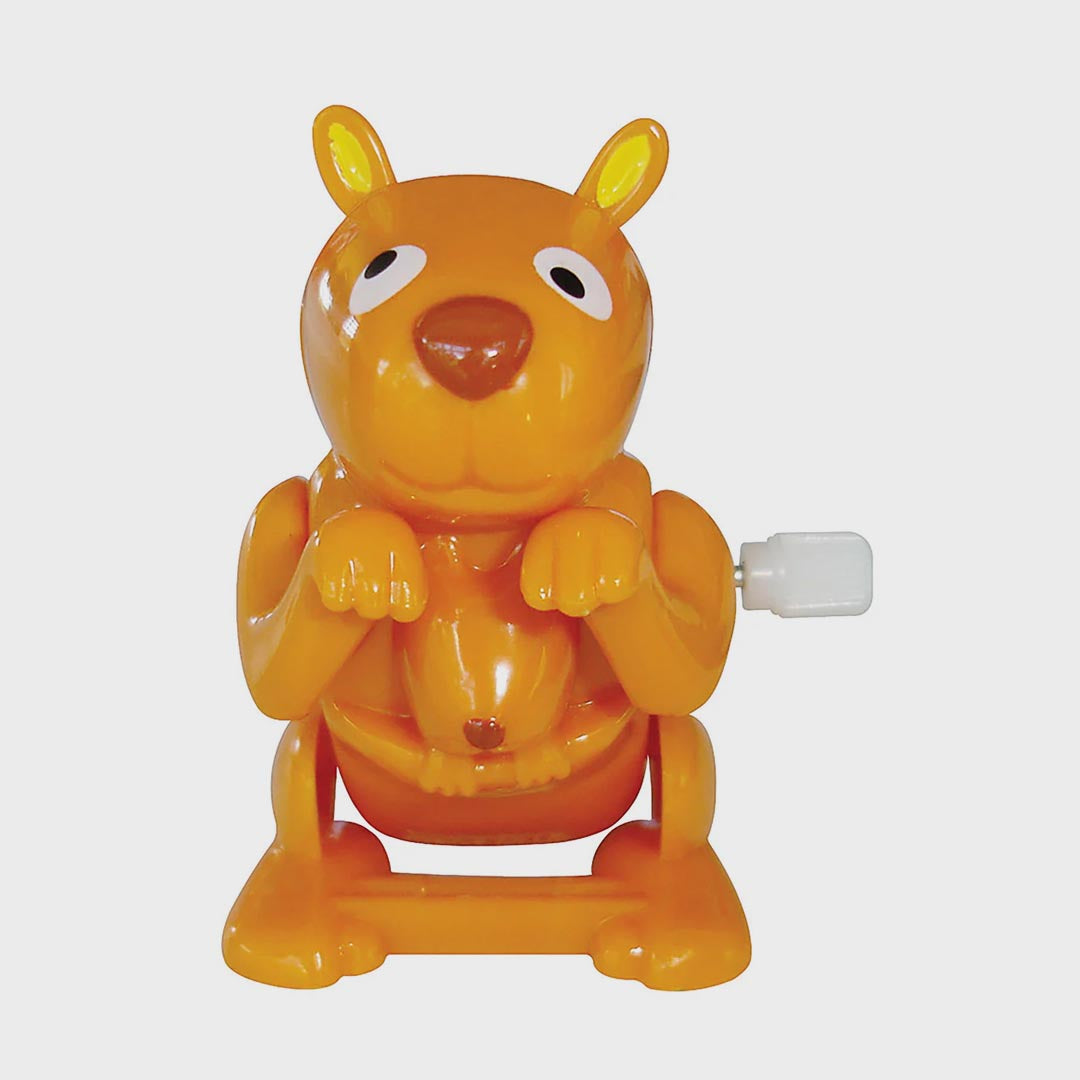 Wind Up Toy | Flippin Pets