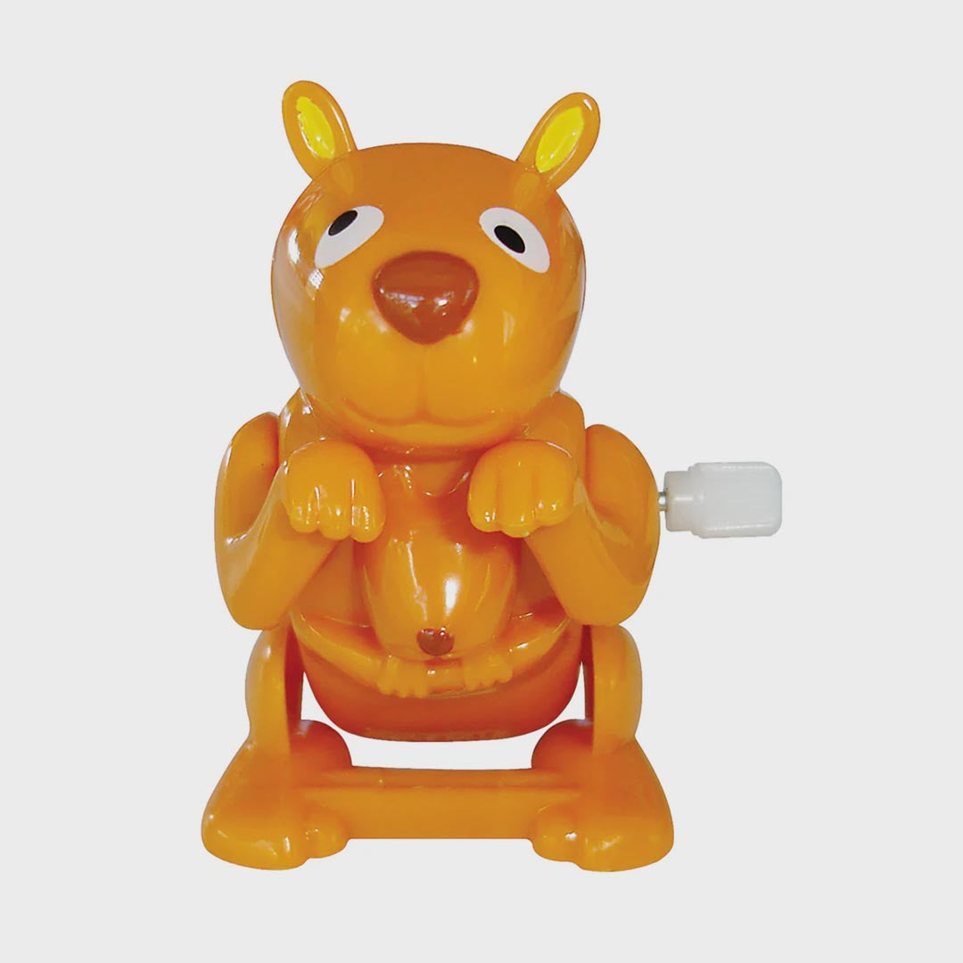 Wind Up Toy | Flippin Roos