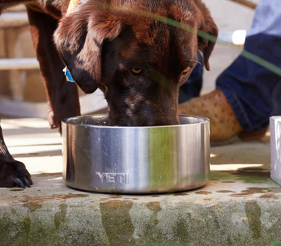 BOOMER 4 DOG BOWL | BLACK