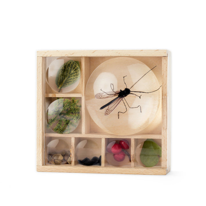GREAT OUTDOORS - BUG BOX
