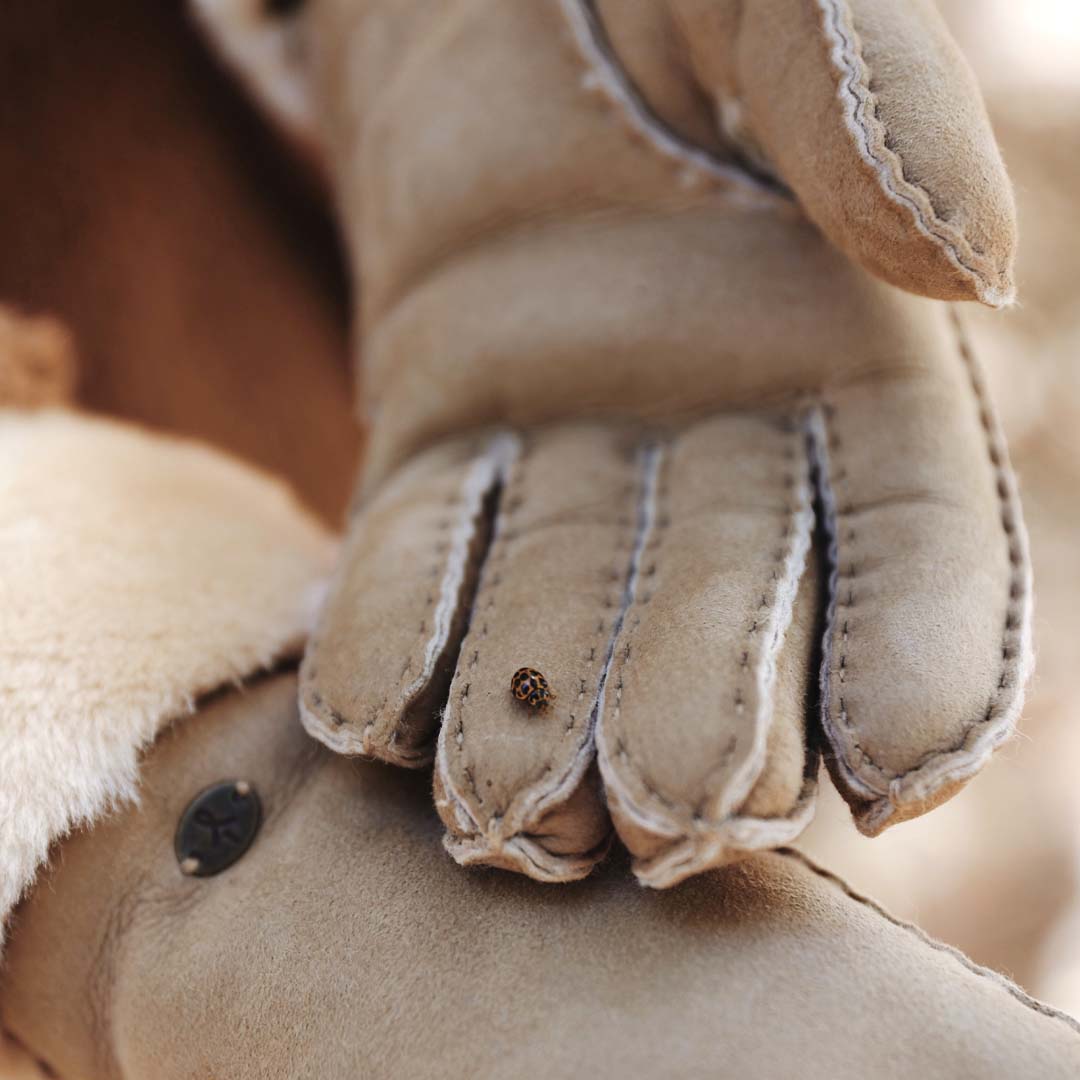 Emu Australia Beech Forest Gloves | BY SAN SEBASTIAN