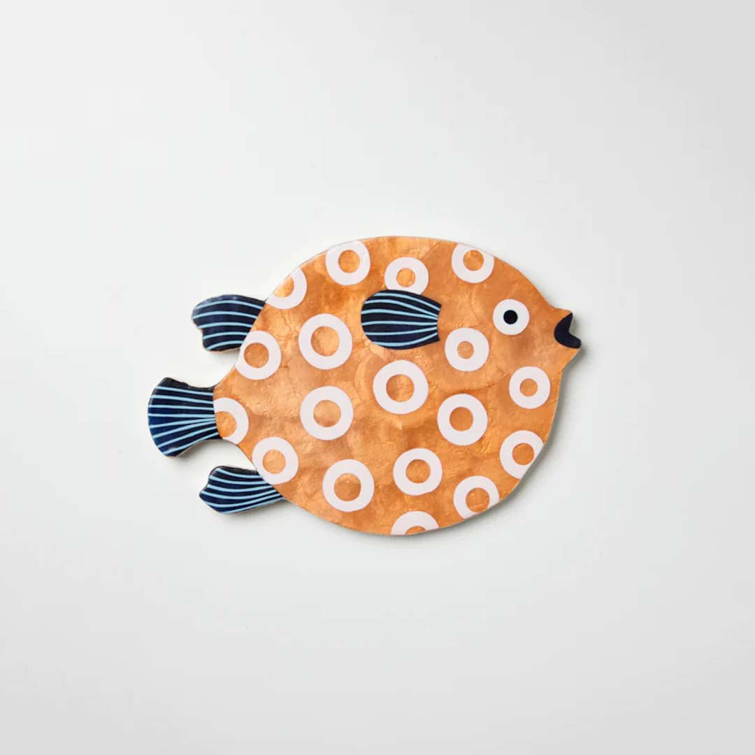 LASSO FISH WALL ART